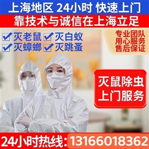上海除虫公司专业除白蚁灭蚊蝇上门灭老鼠除蟑螂除四害