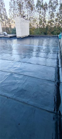 漯河市屋顶防水补漏房屋漏水渗水维修5-10年质保服务有保障