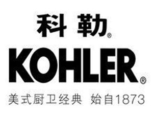 上海Kohler智能马桶喷头不出水怎么维修