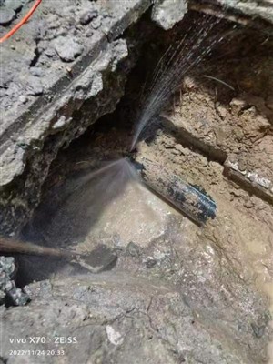 南山区工业园管道渗漏探漏，自来水管测漏，查地埋水管漏水电话