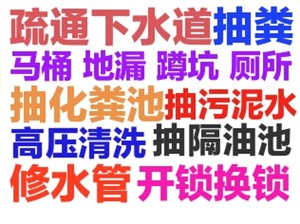 汕头市下水道疏通马桶地漏蹲坑厕所小便池.化粪池清理隔油池