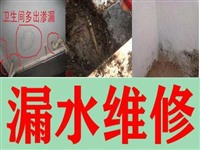 建德市供水管网漏水抢修,管道漏水检测,家庭暗管渗水查漏