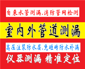 六安市给水管破损漏水检测,地埋水管查漏,仪器设备为您解决暗漏