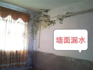 翔安阳台专业漏水维修房屋防水补漏