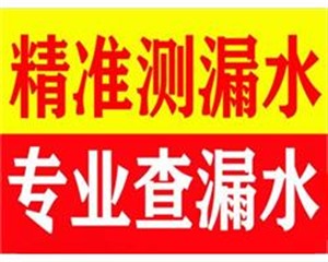 桂林家里漏水点检测中心 专业维修水管