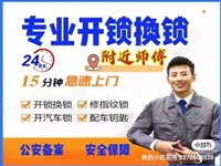 珠海横琴汽车一开锁，就发出报警，应该如何解决？