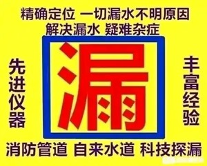 上海奉贤区管道漏水检测公司 自来水测漏检测 消防管道测漏电话