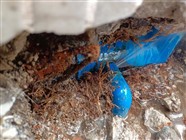 河源管道漏水检测查漏，管网暗管查漏测漏水，查漏水定位收费