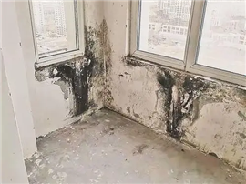 芜湖区外墙高空作业防水补漏维修，内墙厨房卫生间二次结