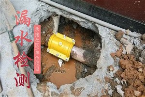 上海市静安区地下供水管道漏水检测室内漏水维修