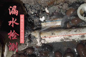 上海市虹口区地下自来水管网测漏水点 暗管测漏水定漏点
