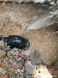 苏州吴江区地下水管漏水检测 维修 消防管网掉压检测漏水点