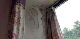芜湖本地外墙高空作业渗水漏水维修，内墙厨房卫生间漏水维修