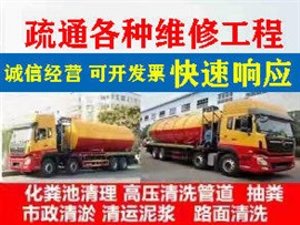 天津东丽区环卫车抽粪 抽粪车拉污水车出租