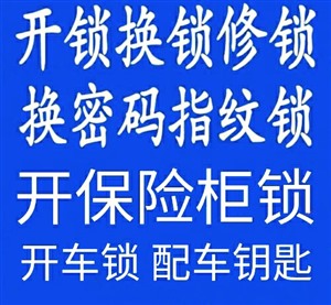 柳市镇开锁/换锁/开保险柜/开车锁/快速上门服务