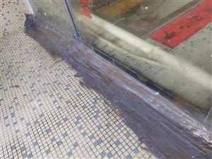 仙桃市区地下室防水补漏阳台渗水漏水维修本地防水师傅有保障