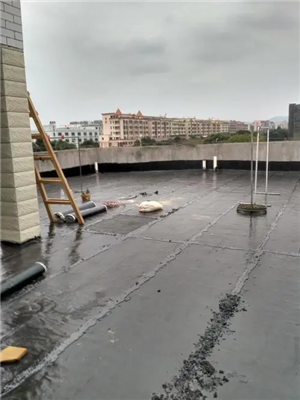 无锡滨湖区本地防水师傅有保障厕所漏水施工