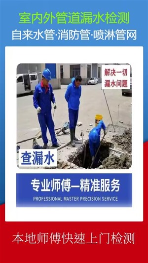 吴江市松陵镇家庭水管漏水检测测漏专业团队