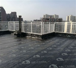 武清区卫生间楼顶防水 工程防水 屋面防水 24小时上门