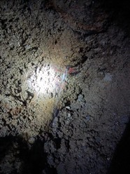 铜陵铜官区管道漏水检测,疑难水管测漏修漏

