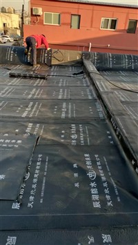 西青区彩钢板防水维修 防水补漏 屋面防水 铺油毡 五百米