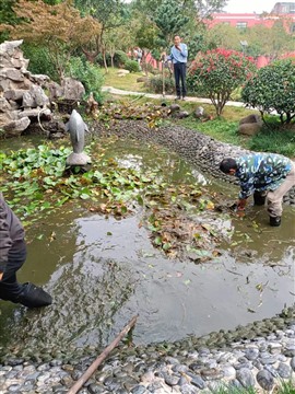南京清理景观池及景观池污泥冲洗和 鱼塘清淤