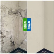 附近家政天花板发霉去除墙面防霉除霉壁纸清洁瓷砖除蜡水泥灰清洁