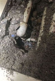 南京市鼓楼区清凉门附近专业测漏 阳台漏水 卫生间漏水