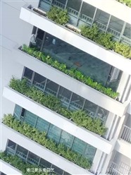 上海高架道路建筑外墙绿植盆栽维护保养更换除草修剪 