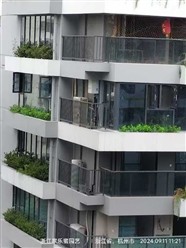 上海建筑楼体绿植盆栽维护保养 蜘蛛人高空服务