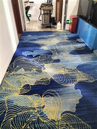 思明湖里集美地毯沙发清洗翻新找福德平家政