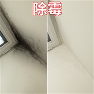 专业除胶公司,瓷砖除粘胶,撕玻璃膜铲胶 墙面除霉菌