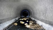东莞市政污水管CCTV检测，房屋排水管渗漏排查