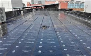 宁德市防水补漏 漏水检测 技术精准 收费合理