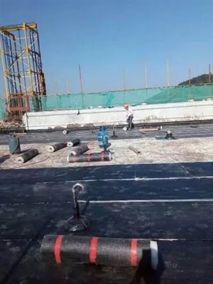 辽阳市房屋防水补漏卫生间堵漏
