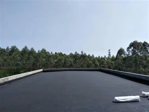 滨州市彩钢板屋面防水铁皮屋面防水钢结构屋面防水