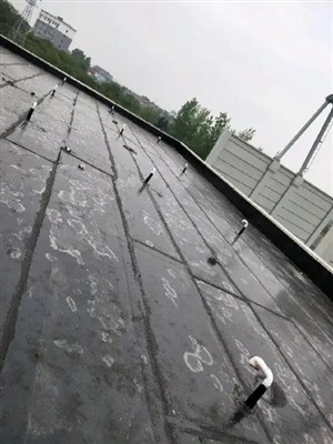 商丘市全天上门检测漏水点做防水