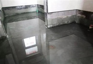 东莞市家庭防水补漏价格合理欢迎致电