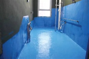 巨鹿县房屋堵漏防水