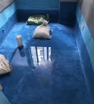 廊坊房屋防水堵漏公司