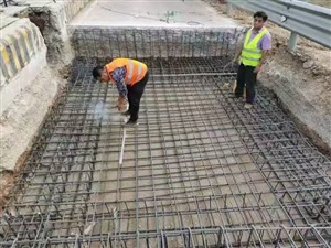 重庆市0-300吨地磅电子汽车维修