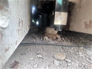 郑州市0-300吨地磅电子汽车维修