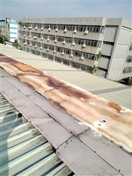 彩钢瓦屋面 房屋渗水补漏公司 福永专业防水补漏公司