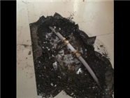 濂溪区
​​彩钢瓦屋面补漏快速施工服务​​​​平房屋面漏水问题高效解决屋顶防水补漏公司