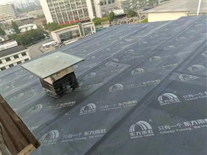 北京东城区屋面天面防水补漏公司 -【百修网】