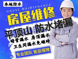漏水检测 防水补漏 室内外 [自来水 消防供暖]暗管漏水定位 卫生间漏水免砸砖维修  疏通下水道