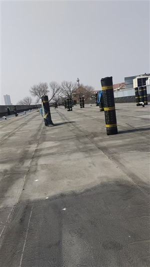 天津河北区卫生间免砸砖防水补漏公司-2小时快速修复漏水问题