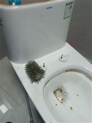 郑州管城区厨房堵塞疏通，疏通卫生间下水道