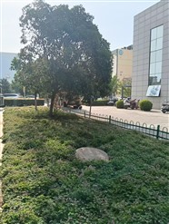 西宁大通回族土族自治县专业疏通管道-高压疏通管道-下水管道疏通