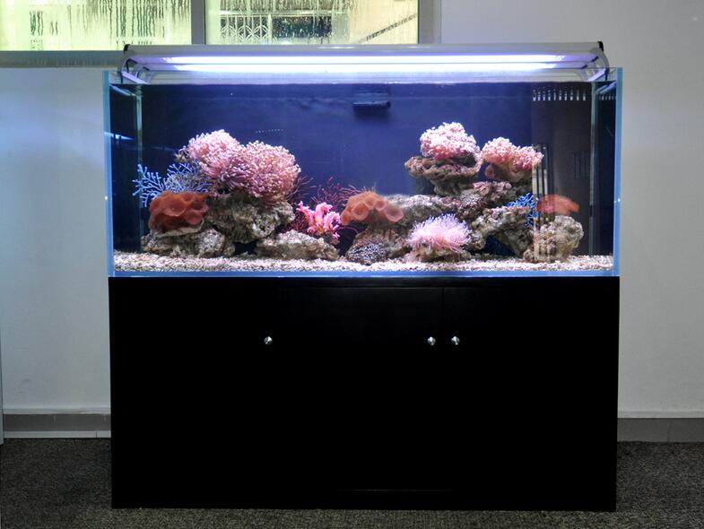 海水鱼缸